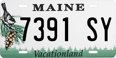 ME license plate 7391SY