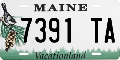 ME license plate 7391TA