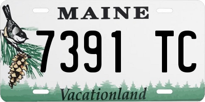 ME license plate 7391TC