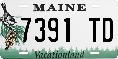 ME license plate 7391TD