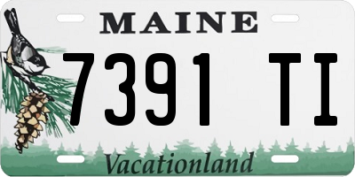 ME license plate 7391TI