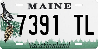 ME license plate 7391TL
