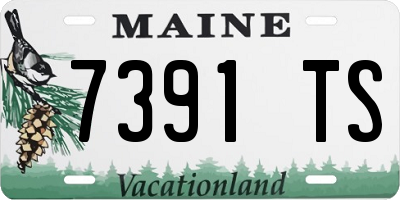 ME license plate 7391TS
