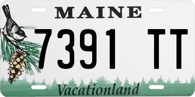 ME license plate 7391TT