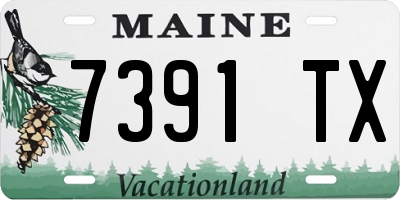 ME license plate 7391TX
