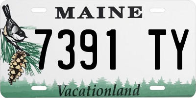 ME license plate 7391TY