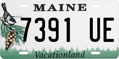 ME license plate 7391UE