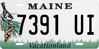 ME license plate 7391UI