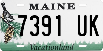 ME license plate 7391UK