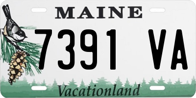 ME license plate 7391VA