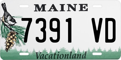 ME license plate 7391VD