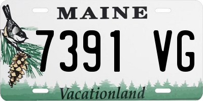 ME license plate 7391VG