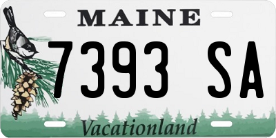 ME license plate 7393SA