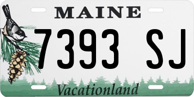 ME license plate 7393SJ