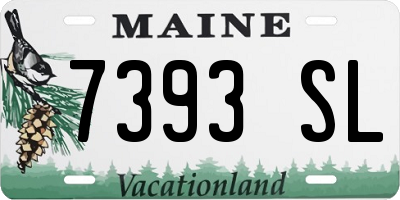 ME license plate 7393SL