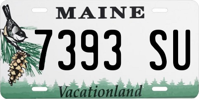 ME license plate 7393SU