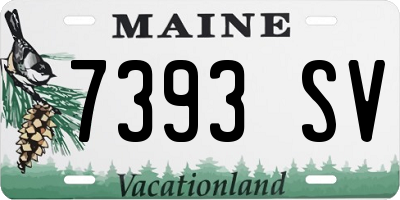 ME license plate 7393SV