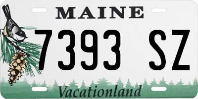 ME license plate 7393SZ