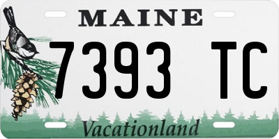 ME license plate 7393TC