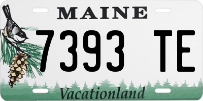 ME license plate 7393TE