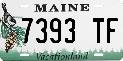 ME license plate 7393TF