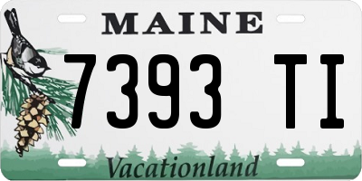 ME license plate 7393TI