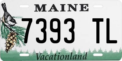 ME license plate 7393TL