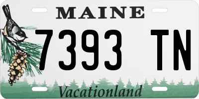 ME license plate 7393TN