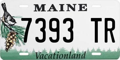 ME license plate 7393TR