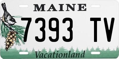 ME license plate 7393TV