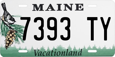 ME license plate 7393TY