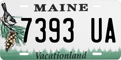 ME license plate 7393UA