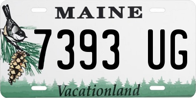 ME license plate 7393UG