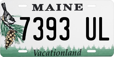 ME license plate 7393UL