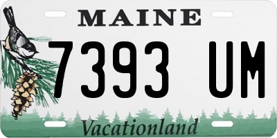 ME license plate 7393UM