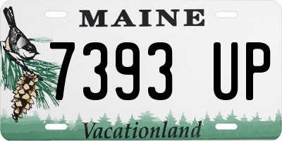 ME license plate 7393UP