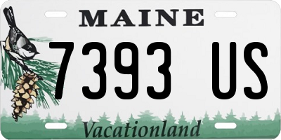 ME license plate 7393US