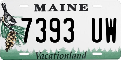 ME license plate 7393UW