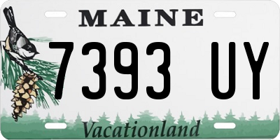 ME license plate 7393UY