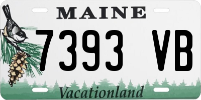 ME license plate 7393VB
