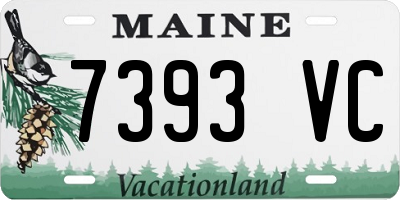 ME license plate 7393VC