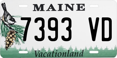 ME license plate 7393VD