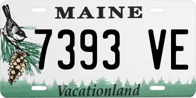 ME license plate 7393VE