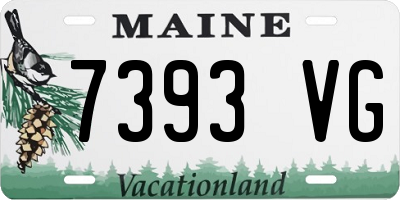 ME license plate 7393VG