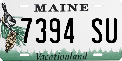 ME license plate 7394SU