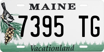 ME license plate 7395TG