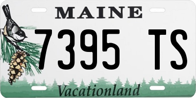 ME license plate 7395TS