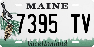 ME license plate 7395TV