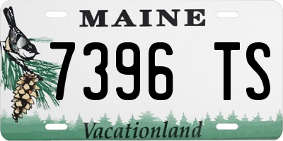 ME license plate 7396TS