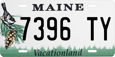 ME license plate 7396TY